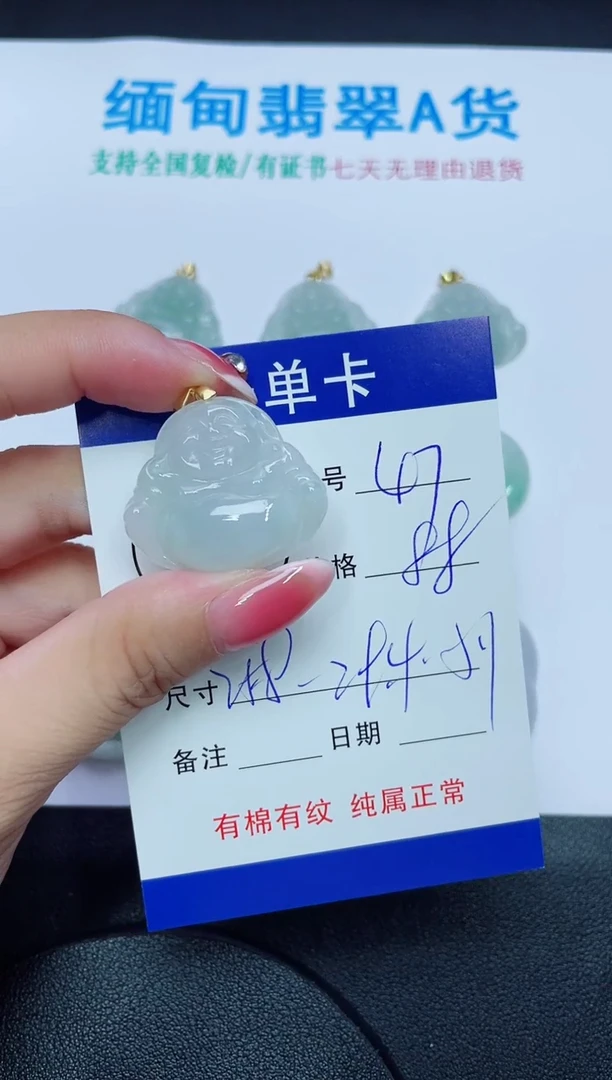 翡翠未镶嵌吊坠(赠链)47