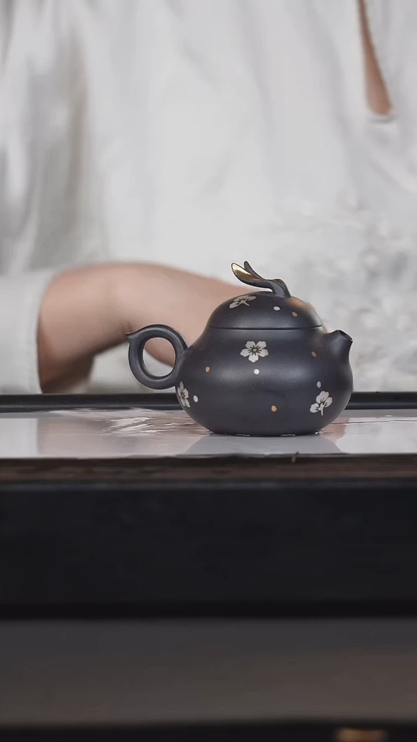 茶壶紫砂韩惠琴高黑料