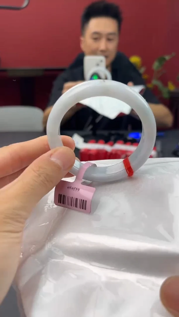 未镶嵌手镯翡翠454