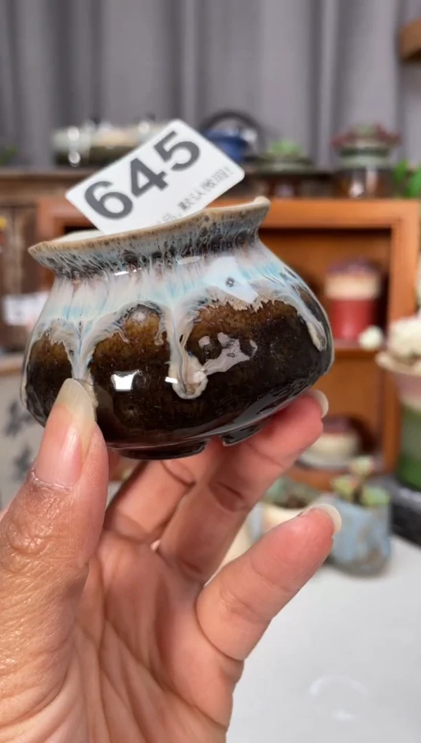 瓷片645小芳直播编号