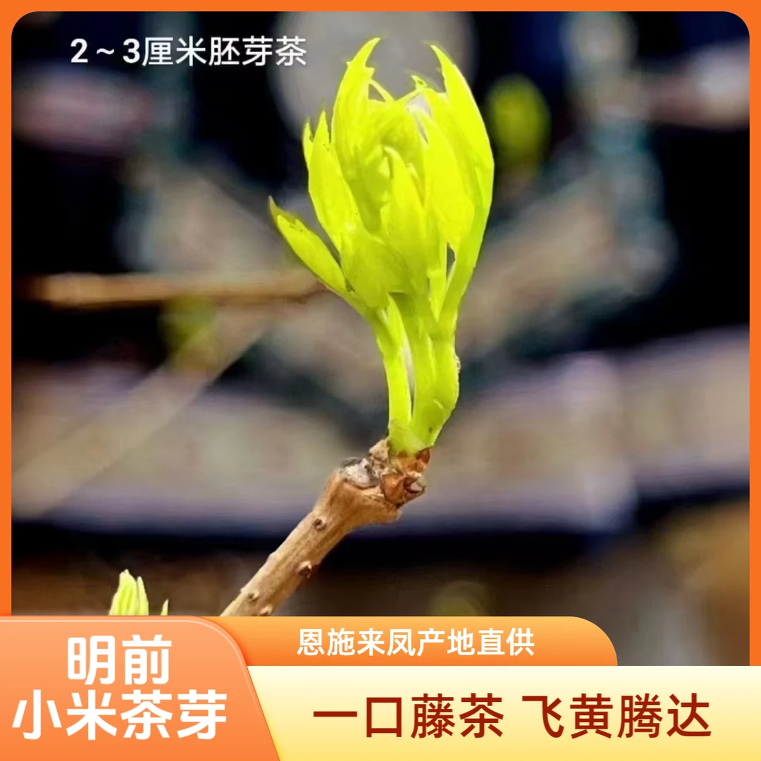 2025正宗特级明前小米芽茶正品湖北恩施来凤藤茶土家莓茶送礼硒茶