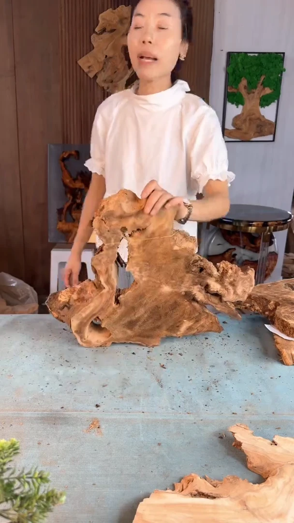 香杉木杉木瘤随型【原料】009