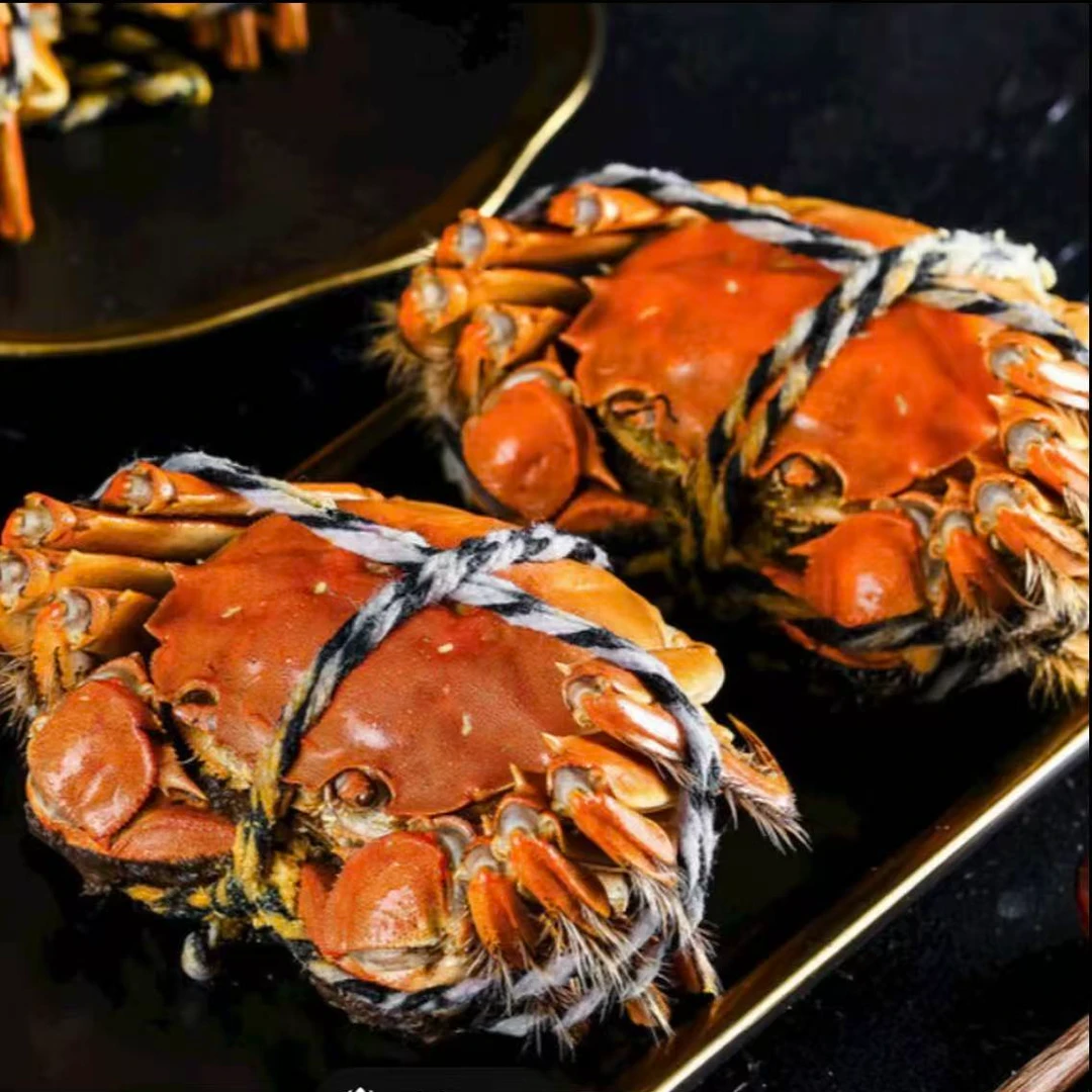 【活蟹现发】精品大闸蟹 公6-5.7两母4-3.7两对半到手6/8/10只