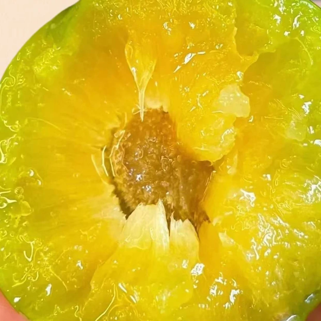 【顺丰包邮】贵州镇宁六马冰脆蜂糖李新鲜应季脆甜多汁礼盒装贵州省