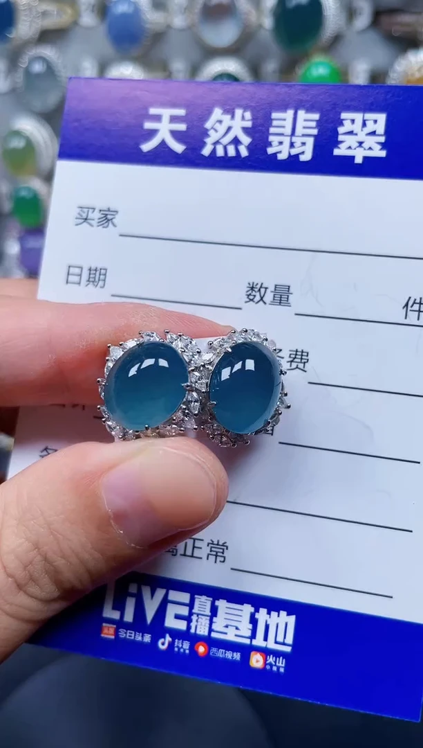 银S925镶嵌翡翠耳饰267