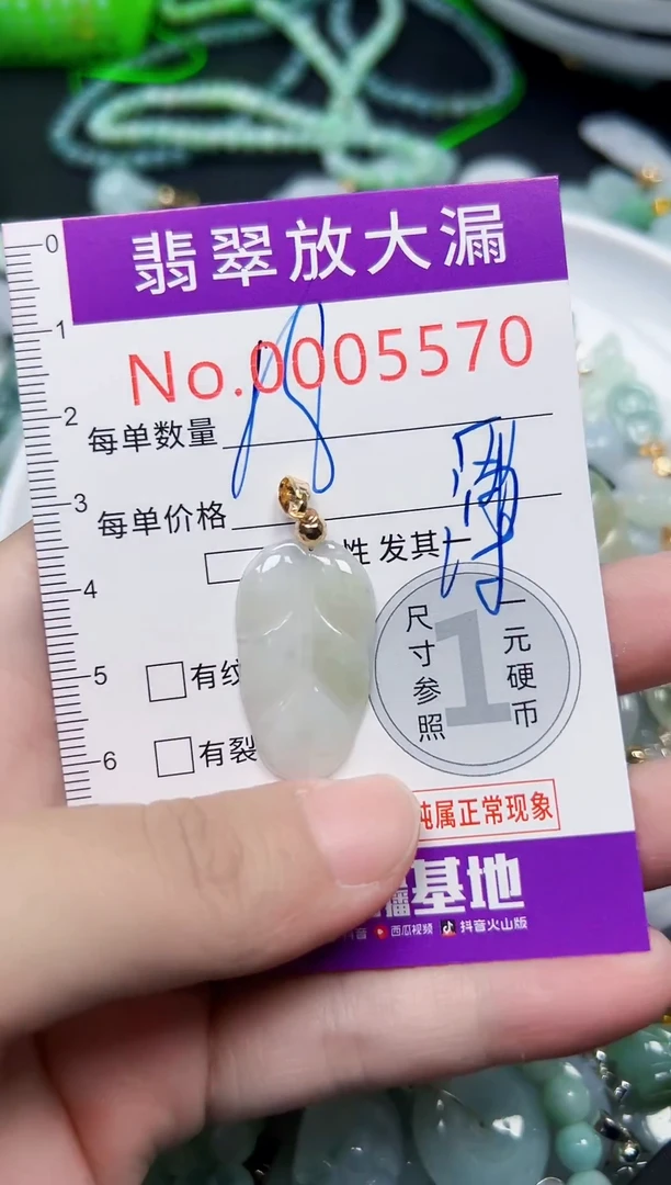 颈饰未镶嵌翡翠5570