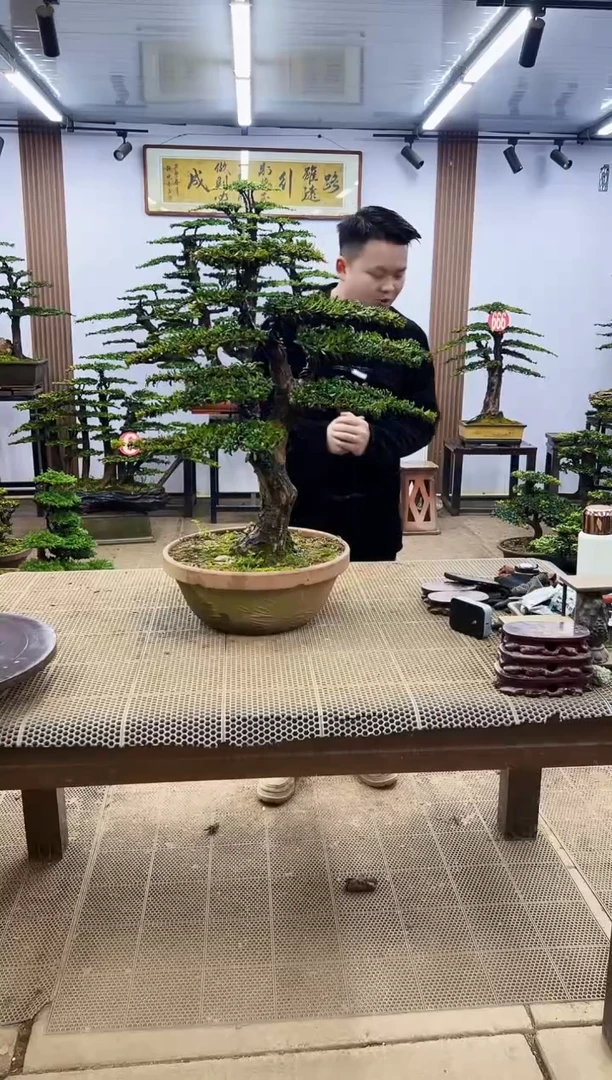 【闪购商品】0000000