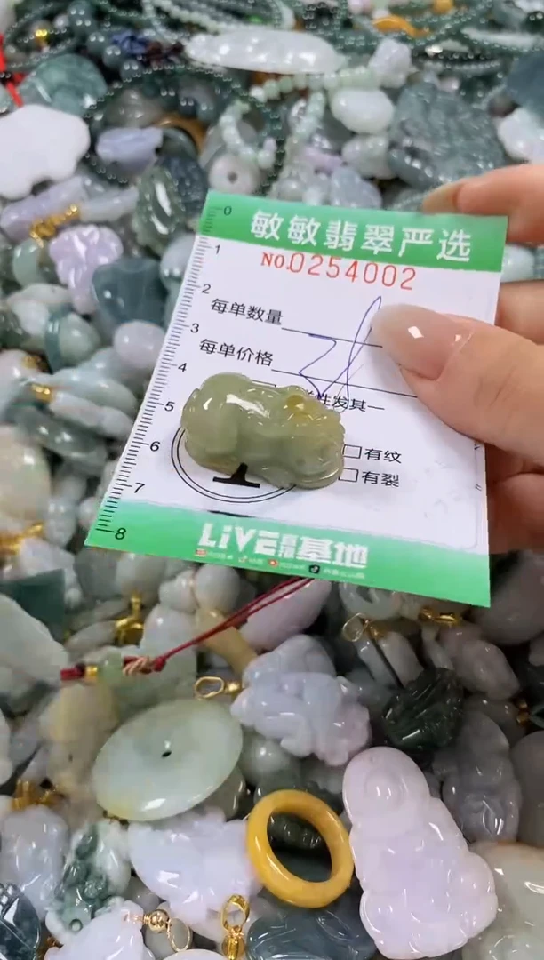 翡翠未镶嵌颈饰闪购0254002