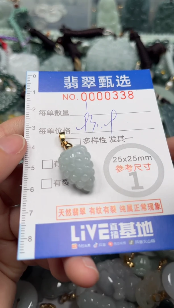 【闪购商品】翡翠颈饰未镶嵌00..0338