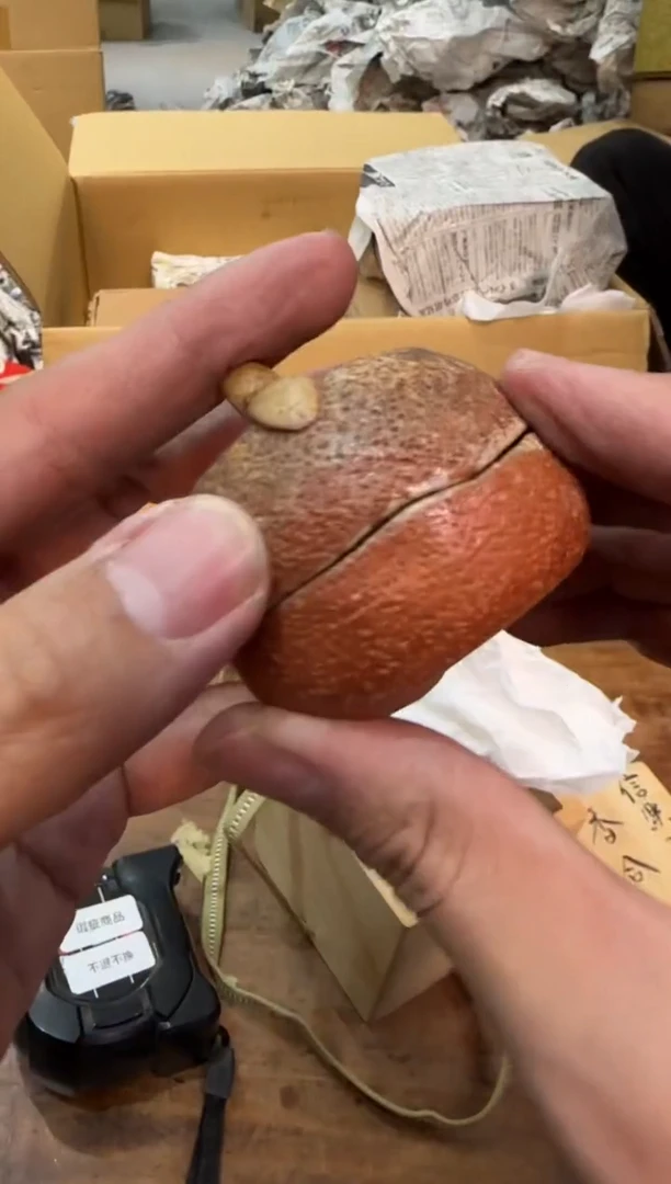 【闪购商品】摆件13y古美術空间美学D05