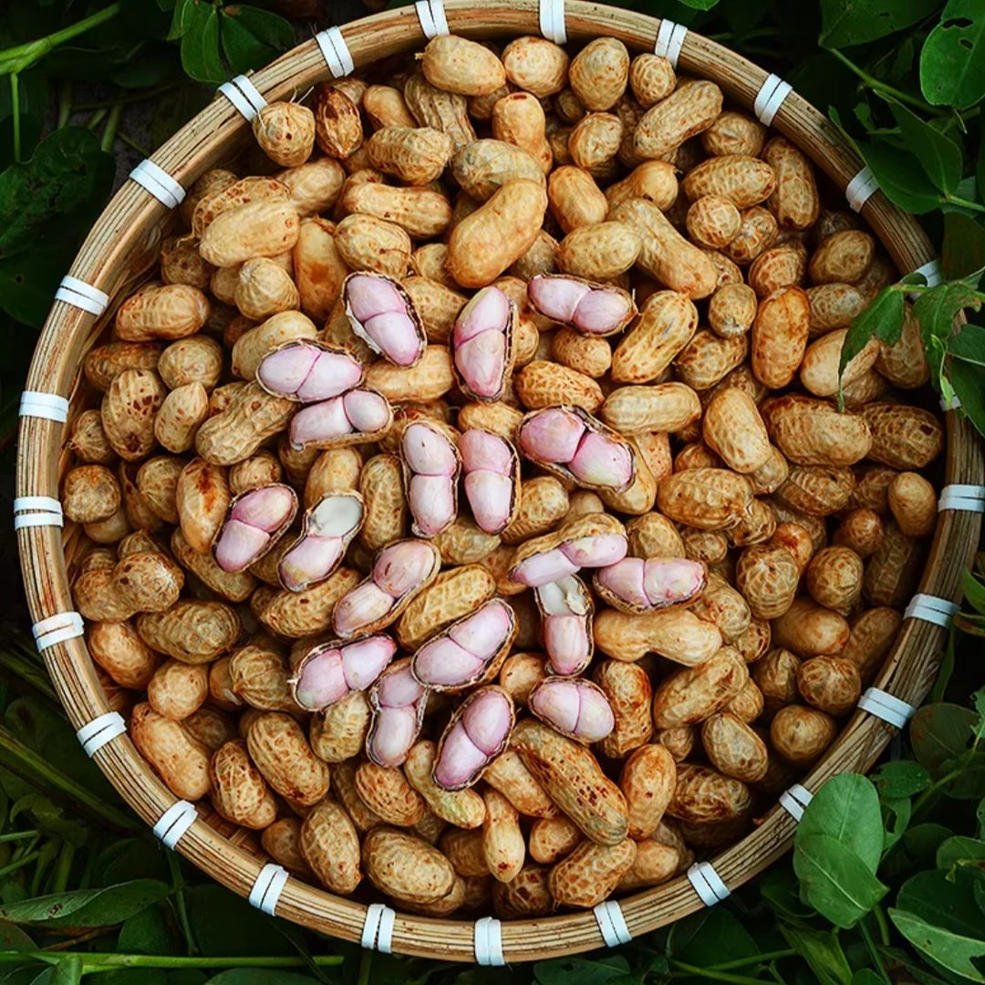 湖南农家自种2025年新鲜头茬现挖湿花生新鲜花生带壳带泥粉皮