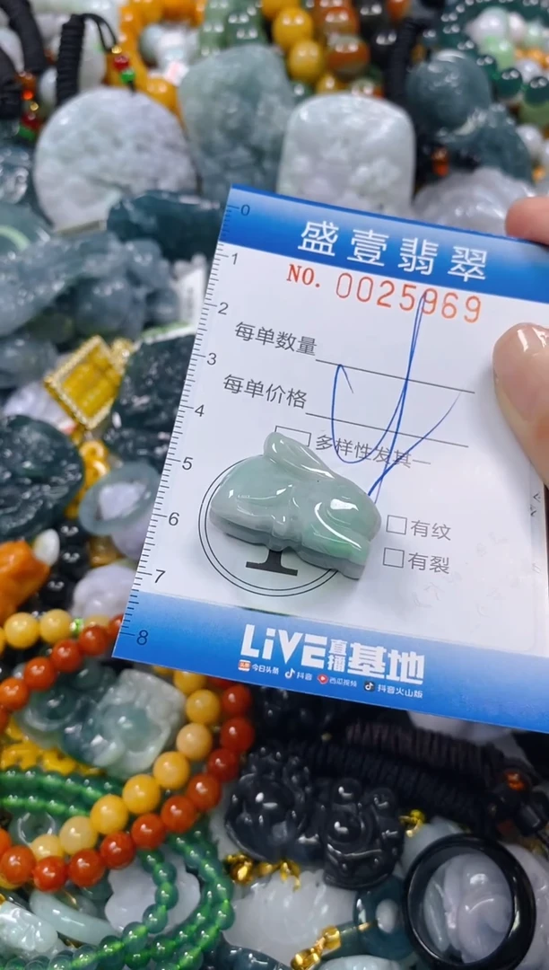 颈饰未镶嵌翡翠闪购0025969