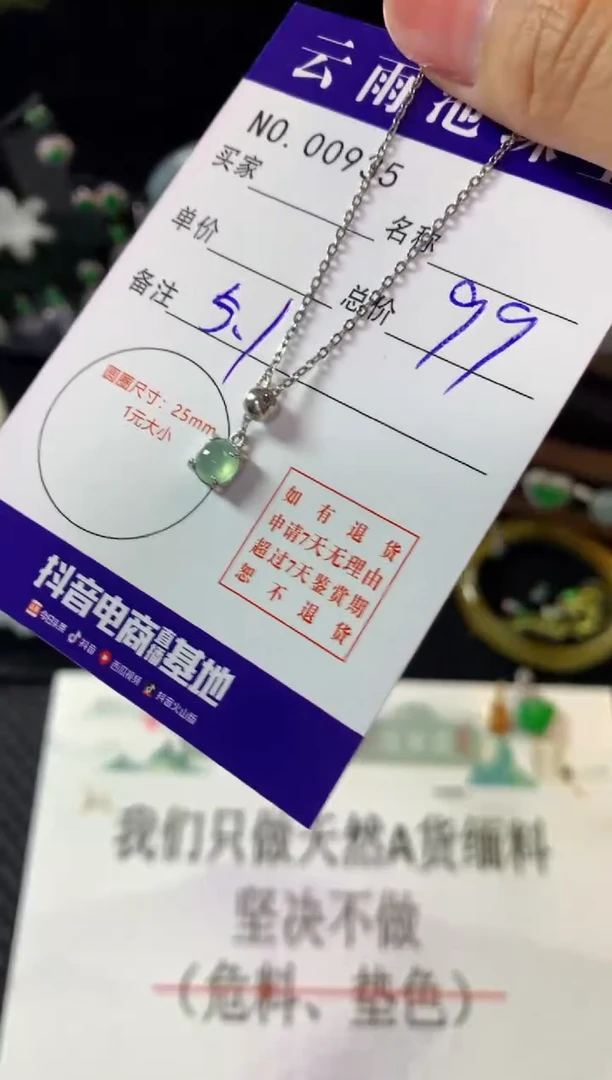 翡翠银S925镶嵌颈饰翡翠