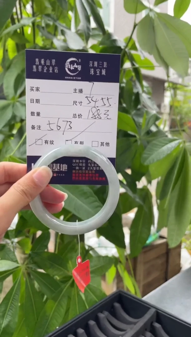未镶嵌手镯翡翠Q 54正圈 5673