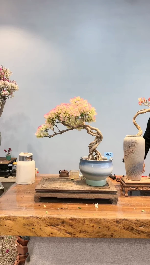 【闪购商品】AA956