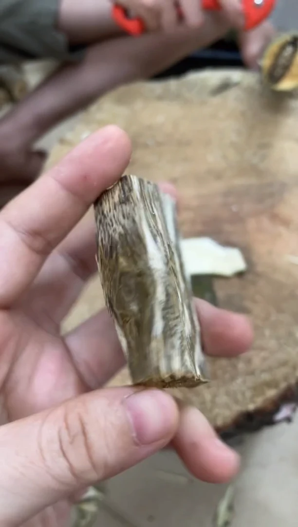 沉香碎屑沉香棋楠沉香 原料文创1