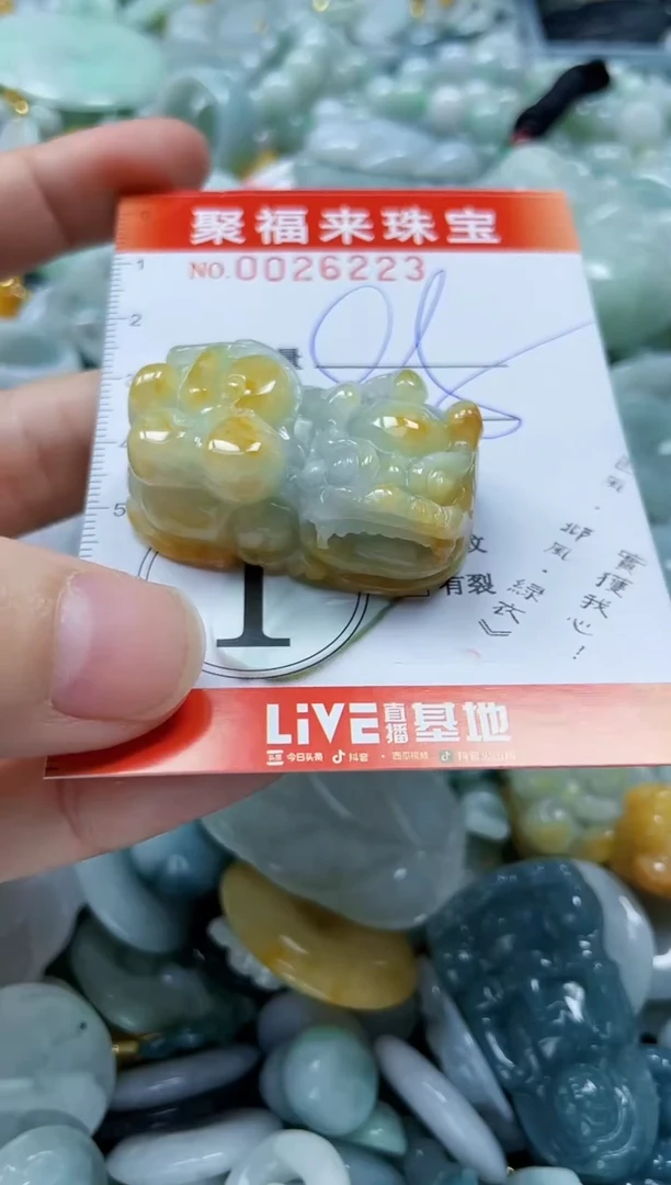 【闪购商品】翡翠颈饰未镶嵌闪购0026223