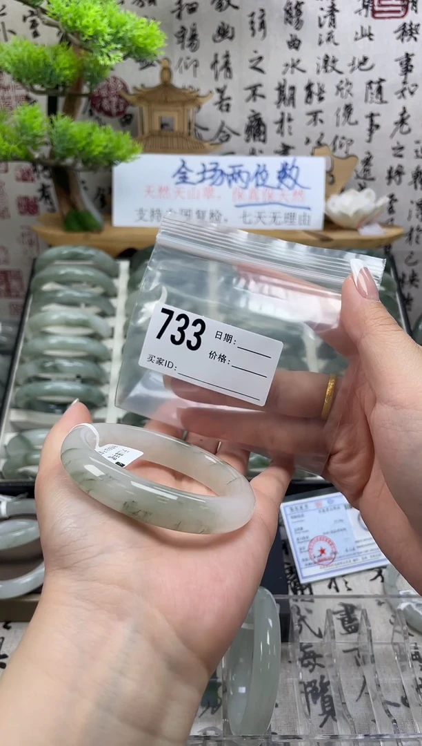 石英质玉（天山翠）手镯未镶嵌733