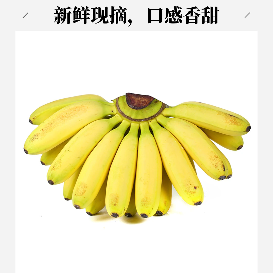 新鲜小米蕉自然熟香甜软糯当季时令水果拇指焦应季整箱非苹果焦