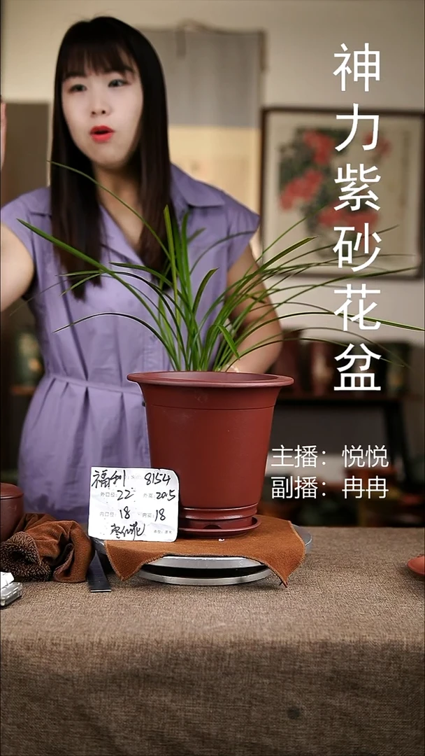 紫砂花盆紫砂花盆8154+z
