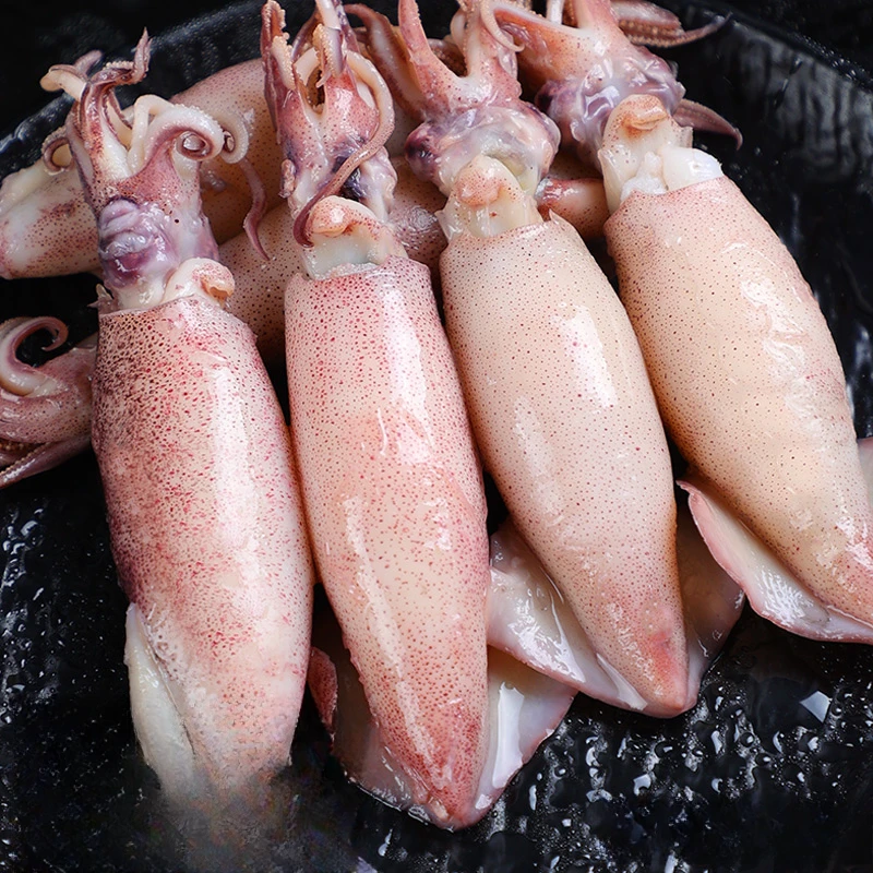 【顺丰冷链】精品全母籽乌海兔笔管鱼新鲜海捕美味水产调制大号鱼籽