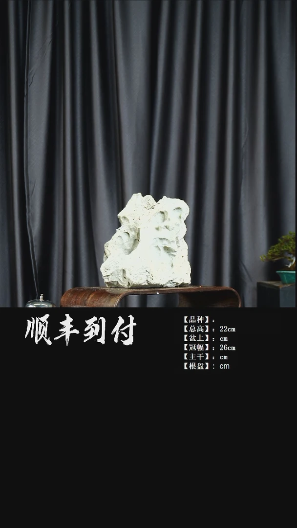 【闪购商品】1v143无定石