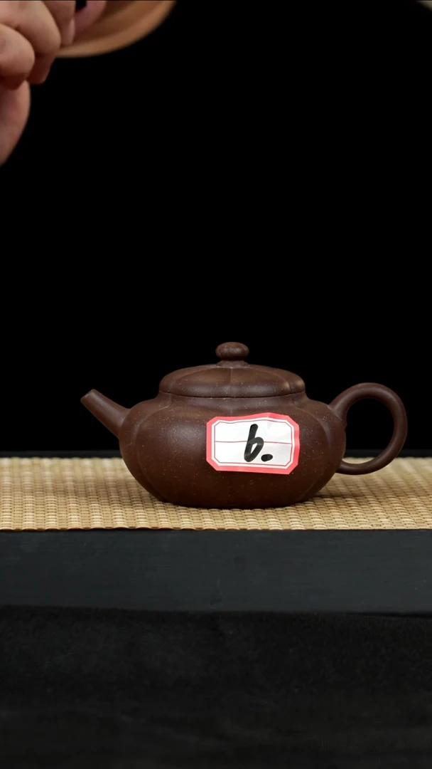 紫砂壶宜兴紫砂壶6