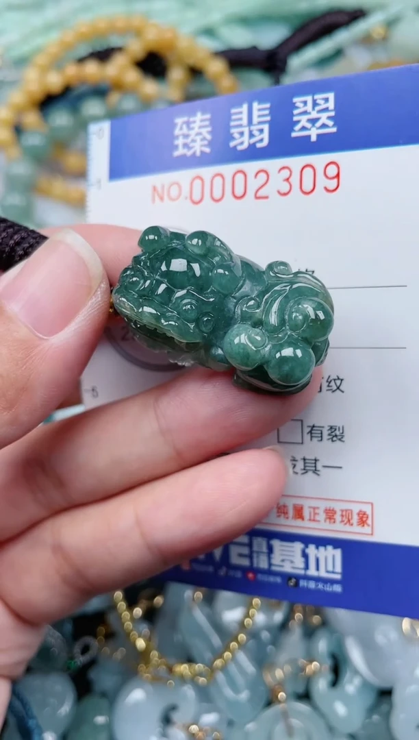 翡翠未镶嵌颈饰.0002309