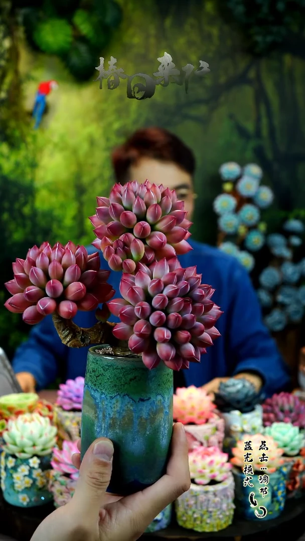 034.。。。。。。。。。。。。。