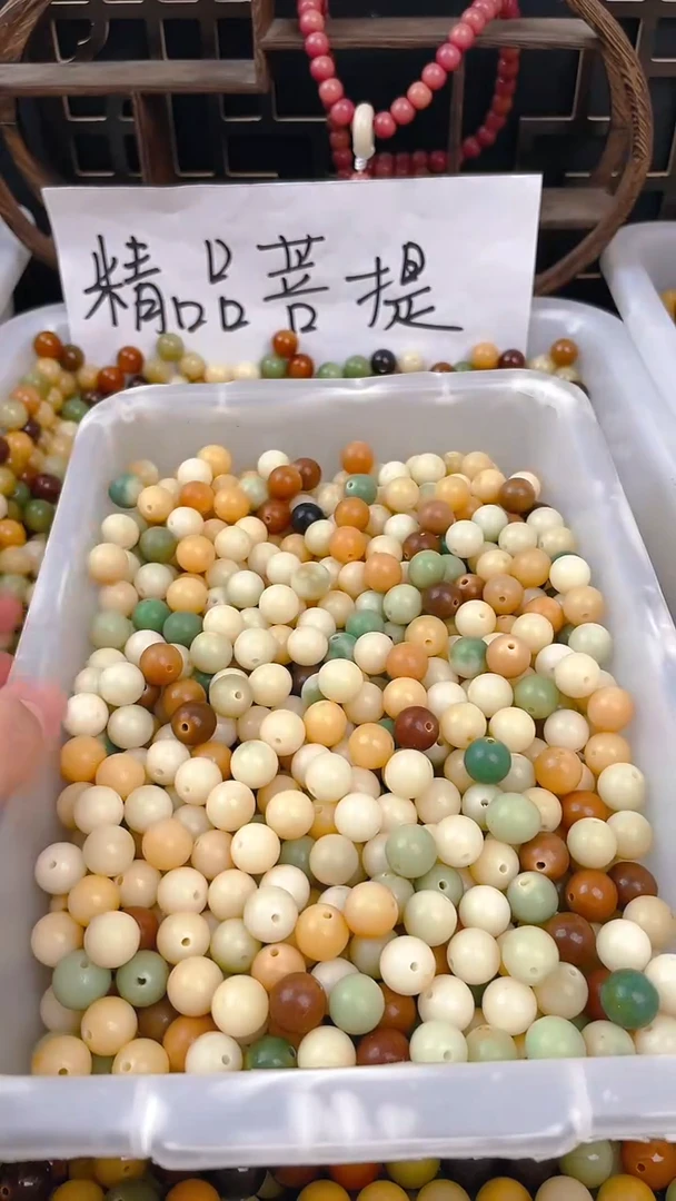 【闪购商品】菩提根/象牙果吊坠亏钱11多宝100颗