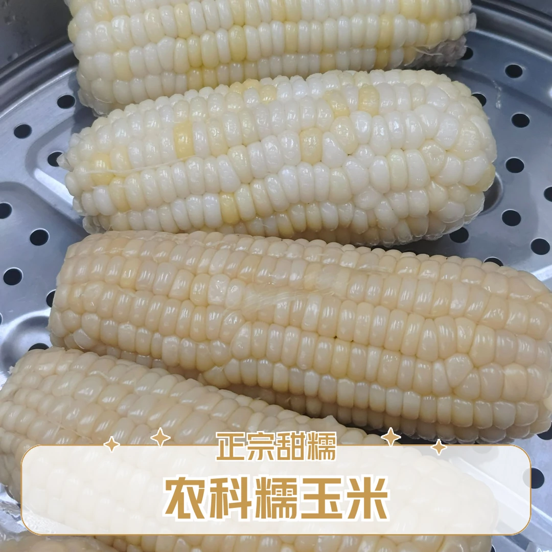 平谷 正宗农科糯336玉米 7分甜3分糯还有一点微微粘  真空包装北京市
