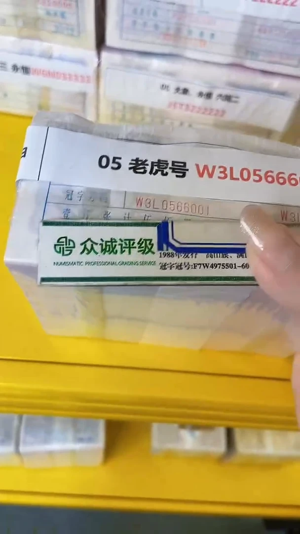 M 05 老虎号 W3L0566666