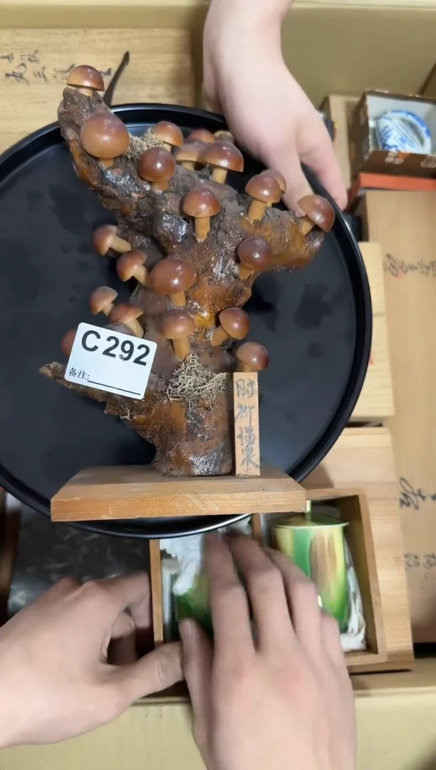 瓷片292单品单价 谨慎参拍