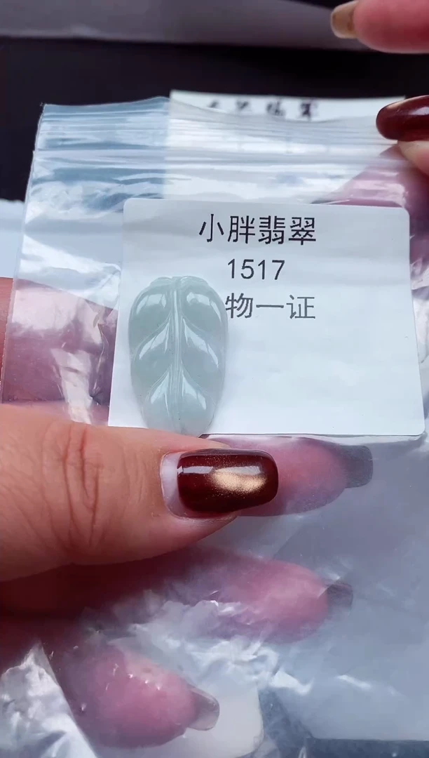 颈饰未镶嵌翡翠缅甸天然A货翡翠1517