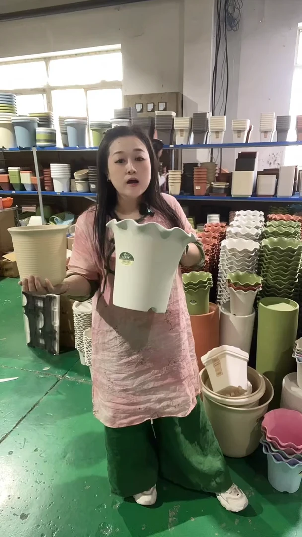 2套荷叶边5004，带托，米白色