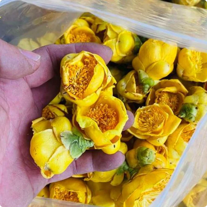 【金花  茶】50g      非 皂角米*