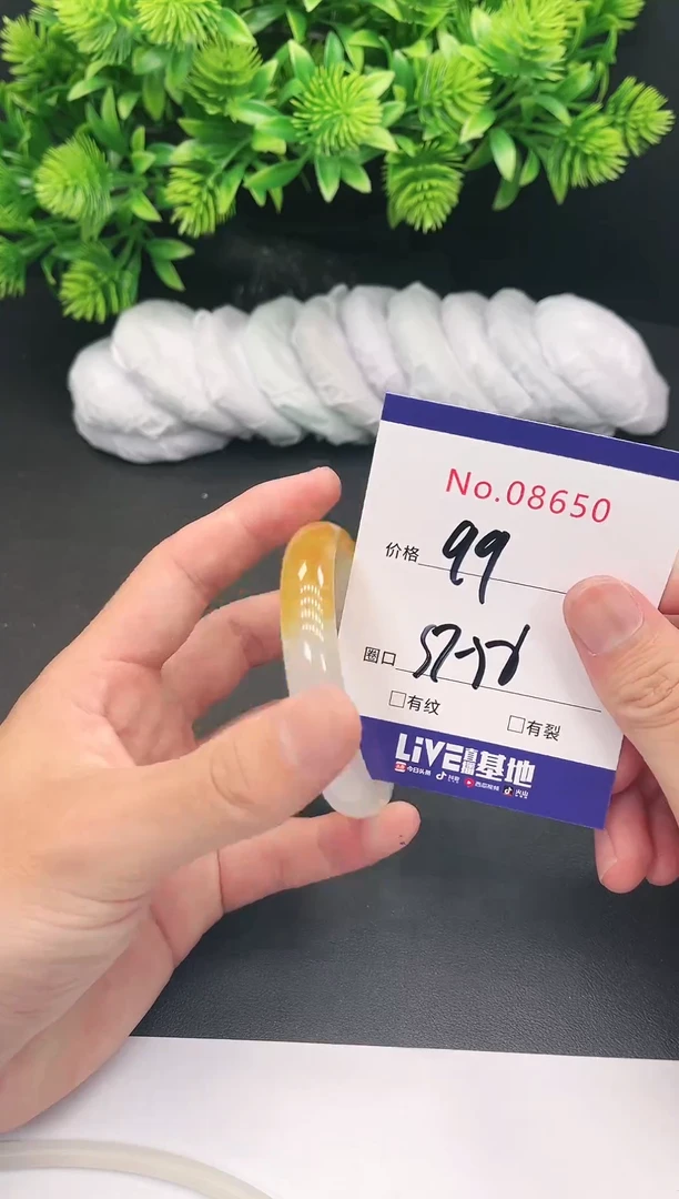 未镶嵌手镯翡翠8650