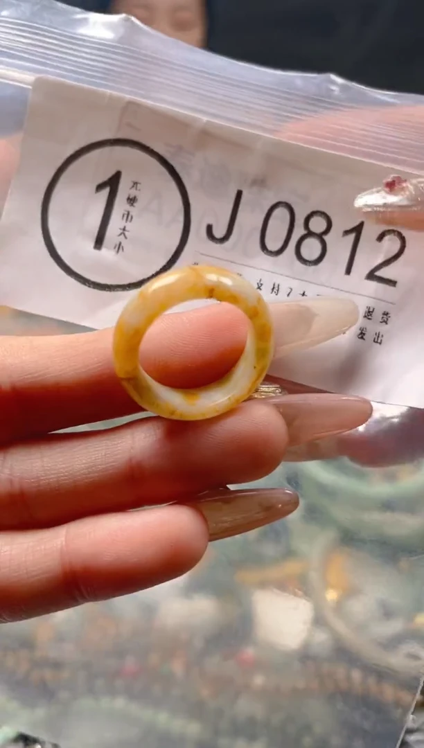 【闪购商品】翡翠颈饰未镶嵌15-16/J/翡翠A货一图一物