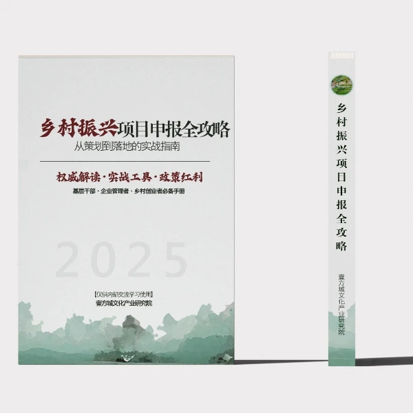 乡村振兴项目申报全攻略-从策划到落地的实战指南