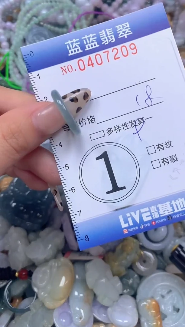 颈饰未镶嵌翡翠闪购0407209