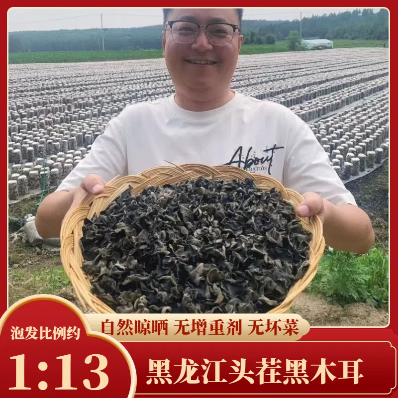 黑龙江东宁头茬黑木耳秋木耳特产正宗干货肉厚无根干货上等黑木耳