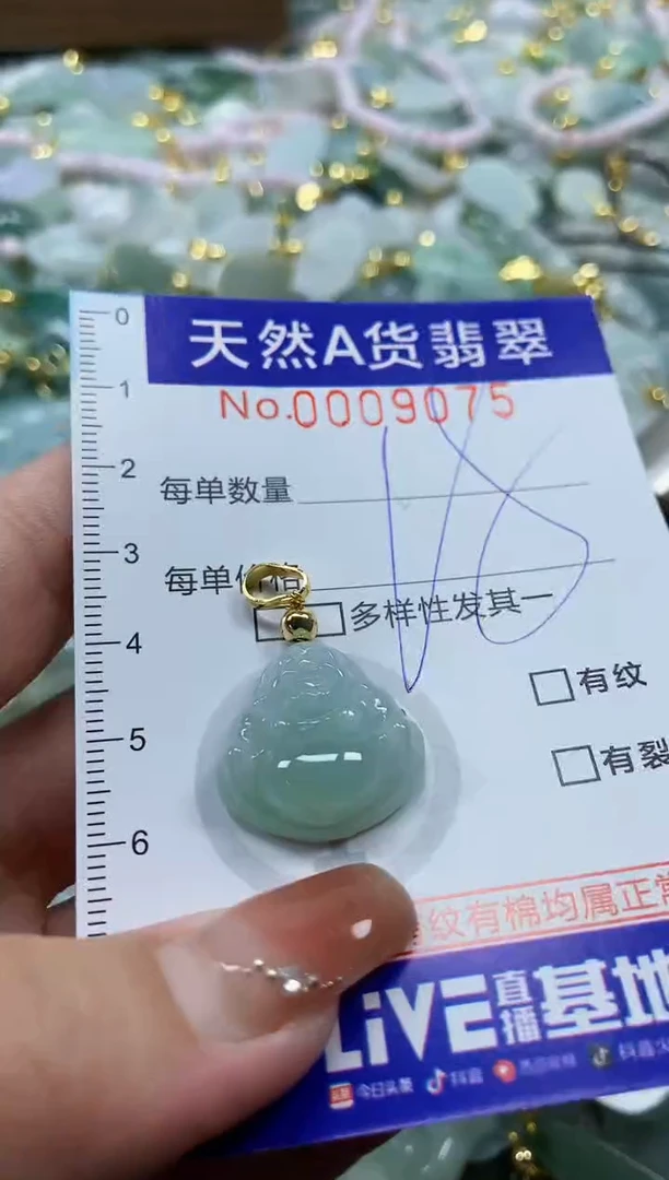 颈饰未镶嵌翡翠天然A货翡翠