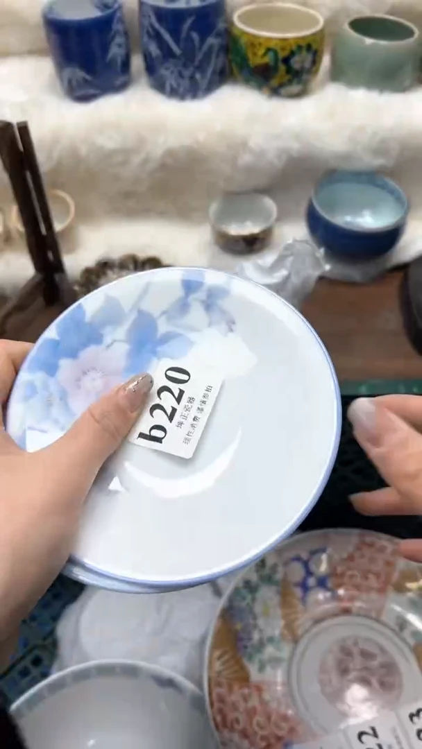 【闪购商品】瓷片          b220