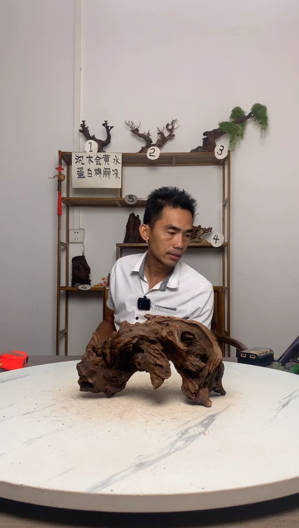?鱼缸造景沉木摆件