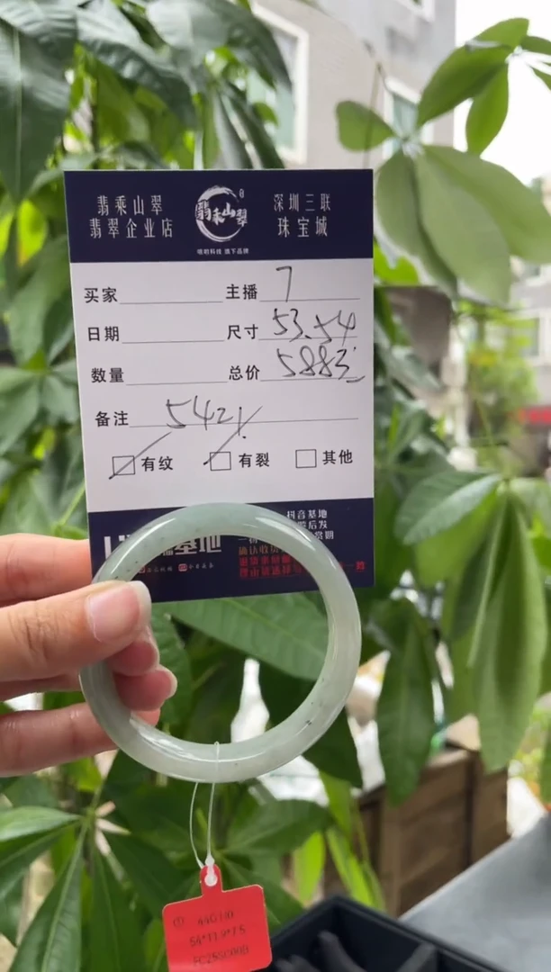 未镶嵌手镯翡翠Q 53正圈 5421