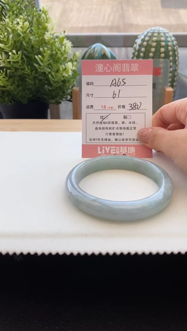 未镶嵌手镯翡翠61圈口 编码 A65