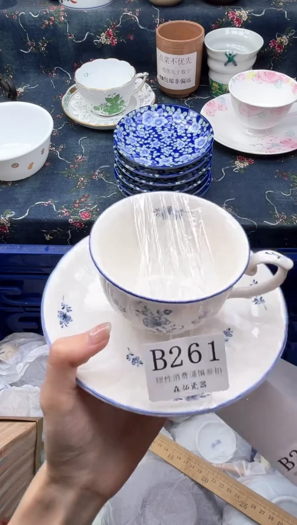 瓷片          B261