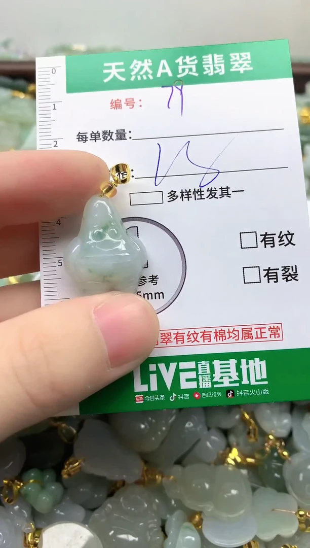 颈饰未镶嵌翡翠纯天然缅甸A货翡翠-79