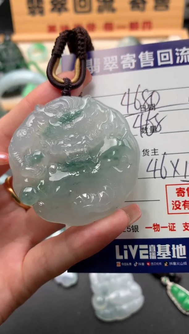 翡翠未镶嵌颈饰10140888