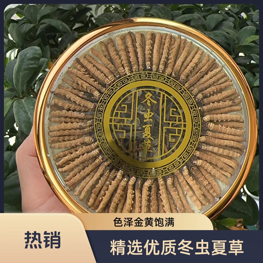 野生高海拔冬虫夏草精挑细选适合送礼滋补佳品